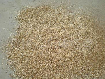 ����ľ��